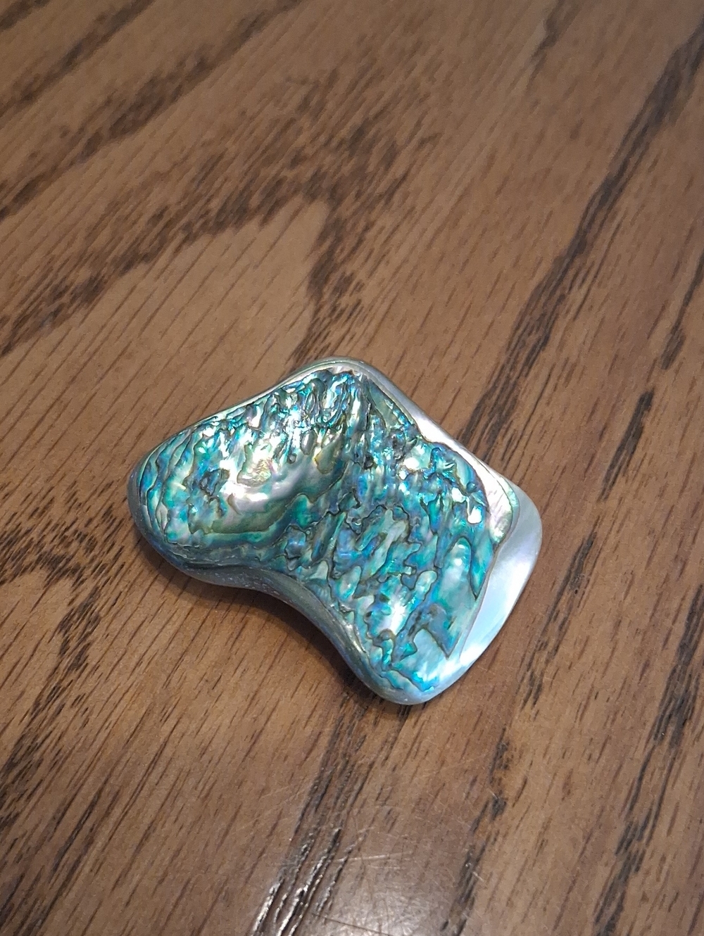 Iridescent Abalone Shell Accent Stone 1 1/2in.